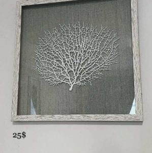 NEW Bodaway Coral in Shadowbox with wood frame